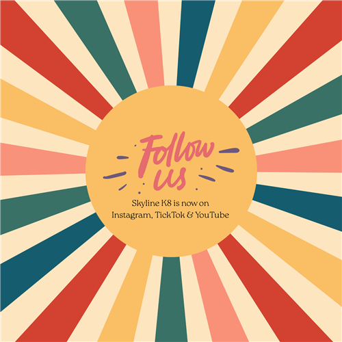 now on Instagram, YouTube & TickTok